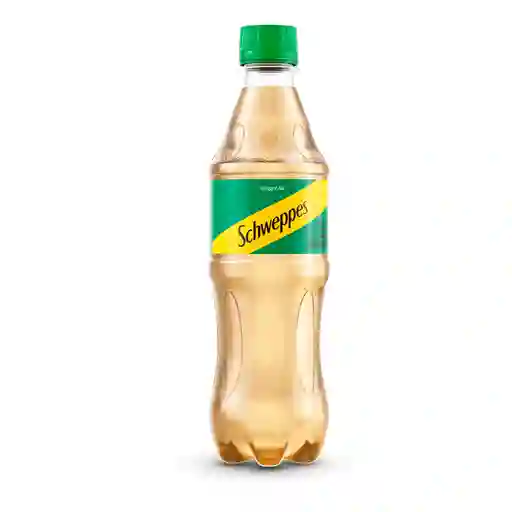 Ginger Ale 400ml