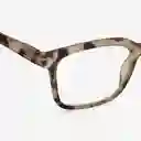 Izipizi Gafas Reading L Carey Claro+2.5