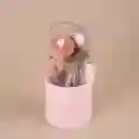 Soporte Para Brochas de Maquillaje SIn Polvo Rosa Miniso