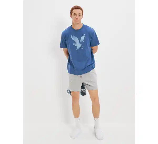 Camiseta Hombre Color Azul Talla SMALL American Eagle