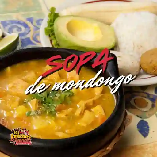 Mondongo