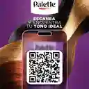 Tinte Palette Color Creme 6-65 Rubio Vainilla