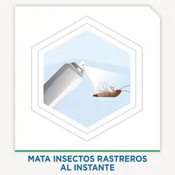 Raid Max Insecticida Aerosol Mata Insectos Rastreros