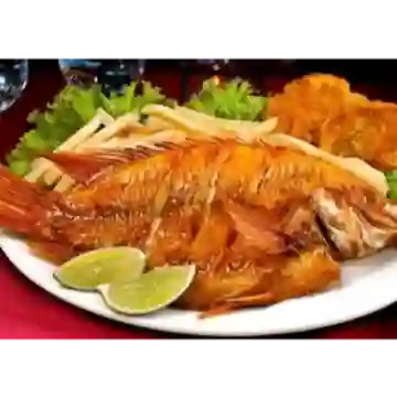 Pargo Frito