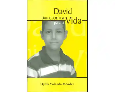 Vida David Una Crónica Para La - Hylda Yolanda Méndez