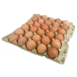 Máxima Huevos a Rojos