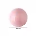 Pelota Para Ejercicios de Yoga Rosa Miniso