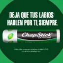 Chapstick Protector Labial Menta Classic