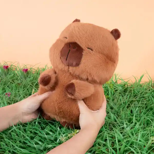 Peluche Serie Kapibara 12 in Miniso