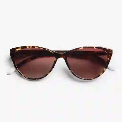 Barner Gafas Sun Astoria Carey