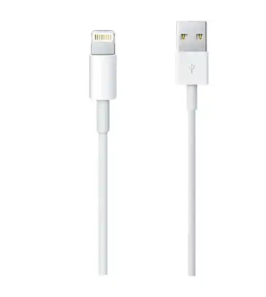 Apple Cable Lightning a Usb Original 2 m