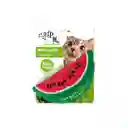 All For Paws Peluche Para Gato Sandia Green