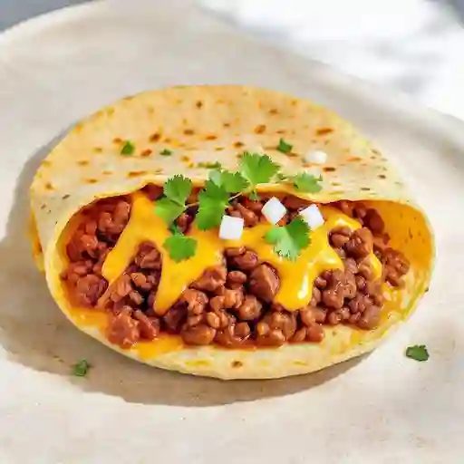 Quesa Birria
