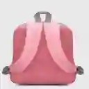 Wilson Morral Charming Para Damas Rosado Con Gris