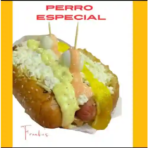 Perro Especial