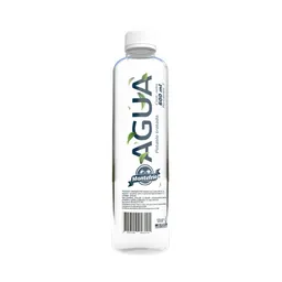 Agua Botella X 600 ml