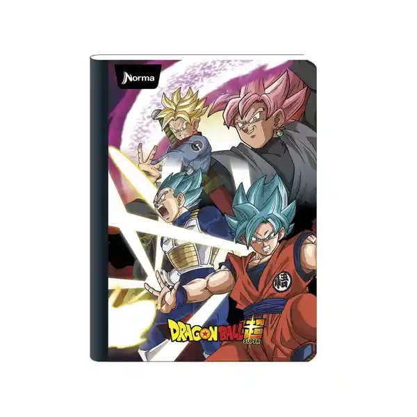 Norma Cuaderno Registro Hojas 3012758