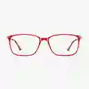 Nooz Gafas de Lectura Bao Ruby + 2.0