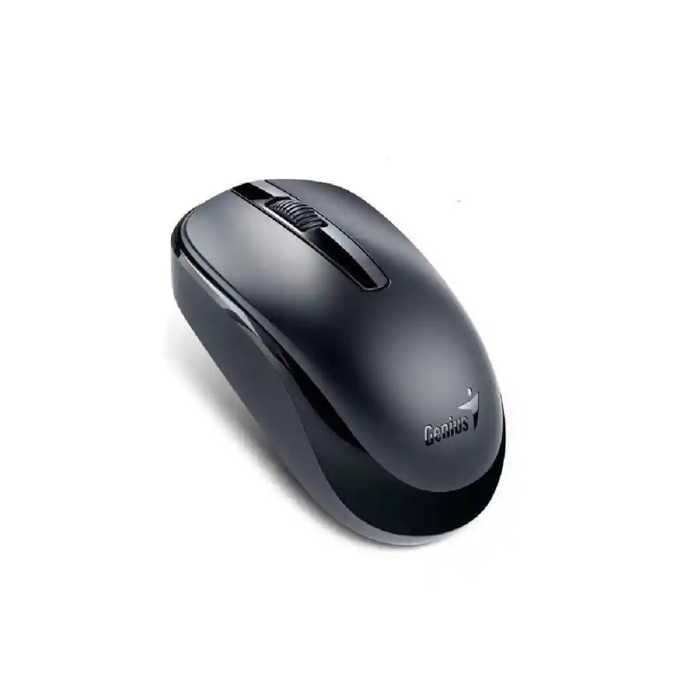 Genius Mouse Dx120