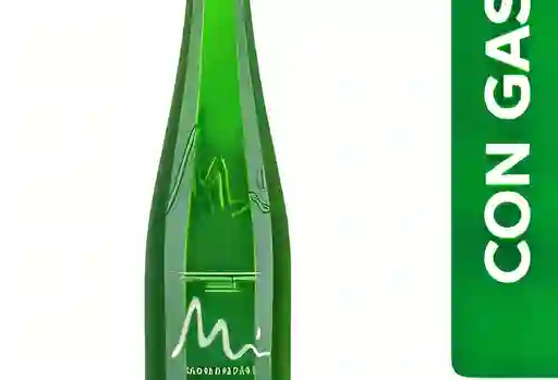Manantial con Gas 300 ml