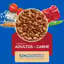 Cat Chow Alimento Gato Adulto Activo Forti Defense