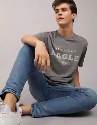 Camiseta Hombre Gris Talla X-Small American Eagle 3774006