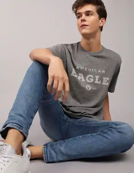 Camiseta Hombre Gris Talla X-Small American Eagle 3774006