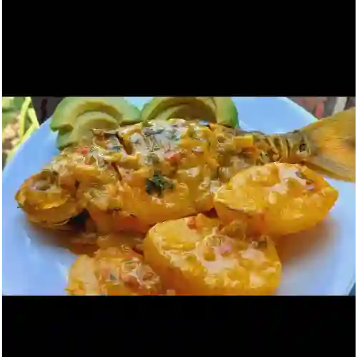 Cachama en Salsa