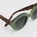 Tiwi Gafas Anne Tortoise