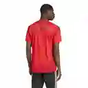 Adidas Camiseta Bayern Munich Hombre Rojo Talla L Ref: IT8511