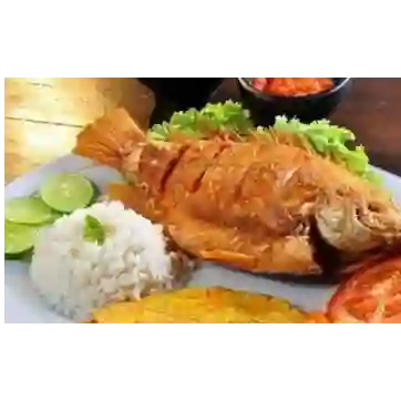 Combito Mojarra