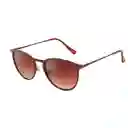Gafas de Sol Foster Grant Cc 18 05