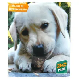 Animal Planet Tapete Para Perro60 X 58 Apd785002