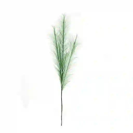 Pick Básico Plumas Verde Krea
