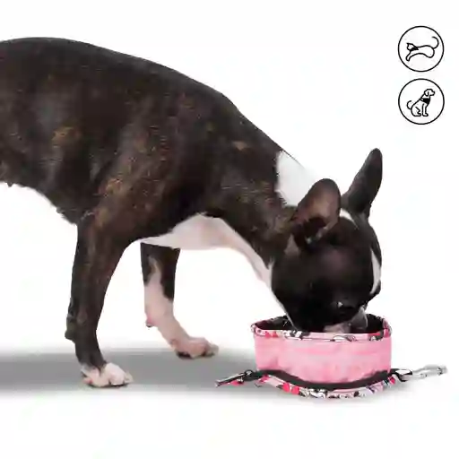 Bebedero Portátil Vito Minnie Mouse Para Mascota