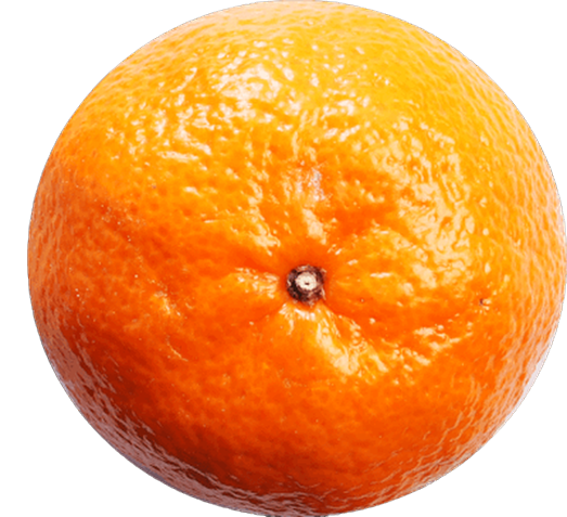Mandarina Santandereana 500 g