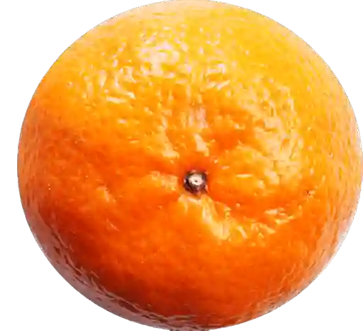 Mandarina Santandereana