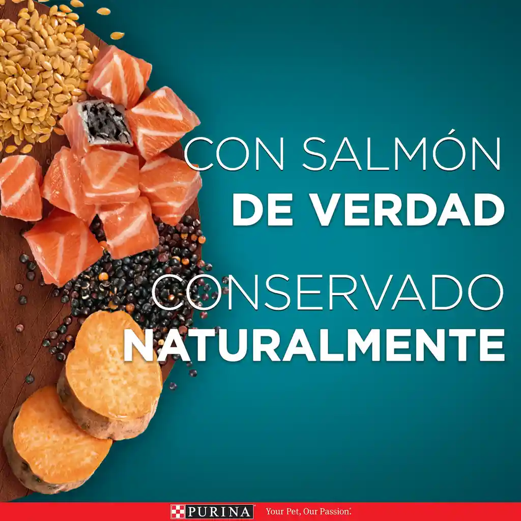 Comida húmeda para gatos Esterilizados Purina One sabor a Salmón x 85gr