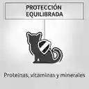 Comida humeda para gatitos sabor a pollo Purina Pro Plan x 85gr