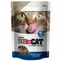 Br For Cat Snack Para Gato Cuidado Renal 100 g