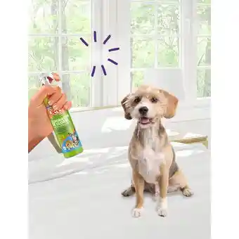Petys Eliminador De Olores  280Ml