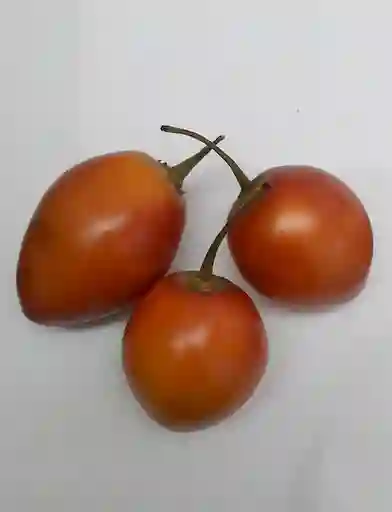 Tomate de Árbol Rojo