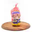 Gallicol Gallina Extra Campesina 