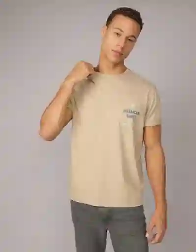 Camiseta Hombre Beige Talla: MEDIUM 4426212 American Eagle