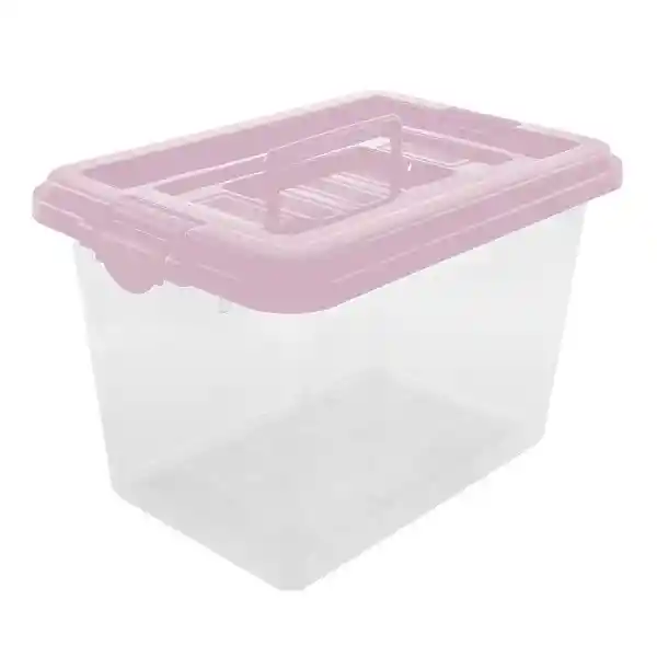 Vanyplas Caja Organizadora Lilac 12 L