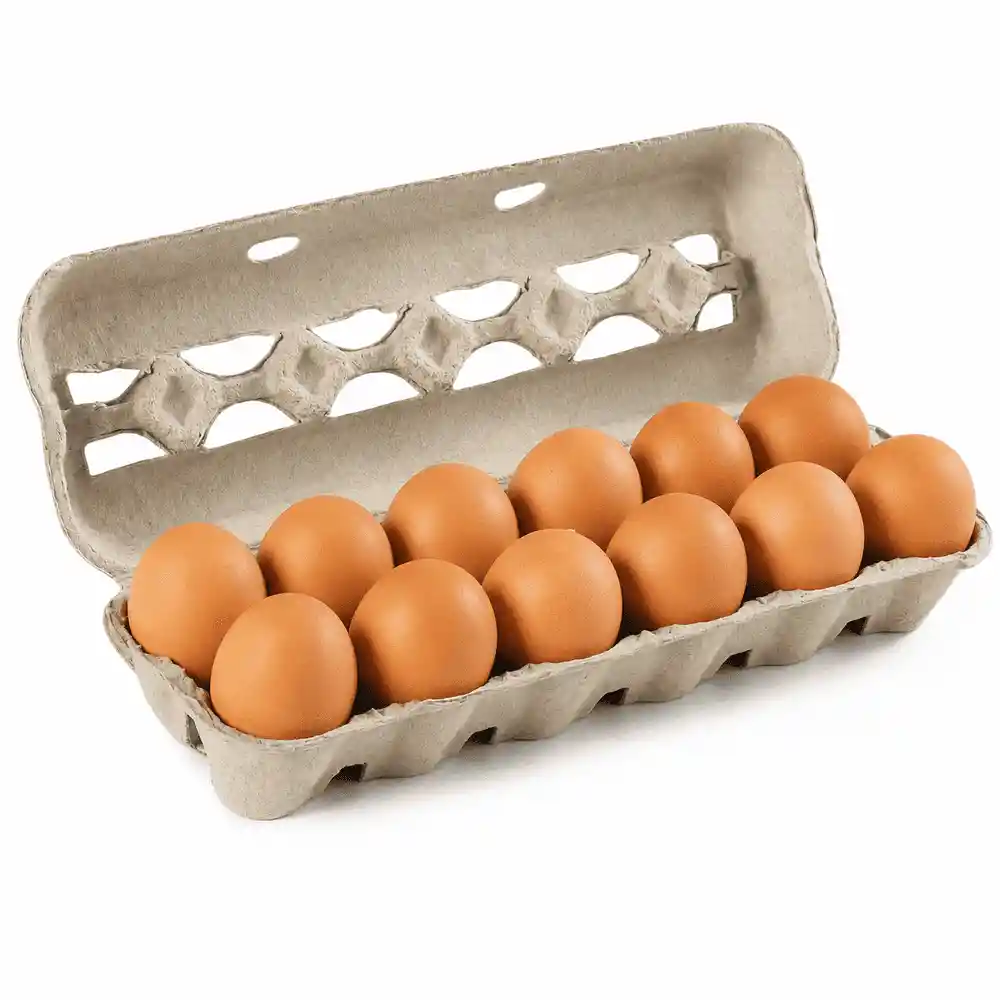 Avrr Huevos Rojos Aa Estuche de Cartón