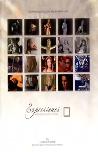 Expresiones: Museos Del Estado de México - VV.AA