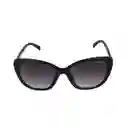 Gafas Para Mujer Color Negro X17033 Steve Madden