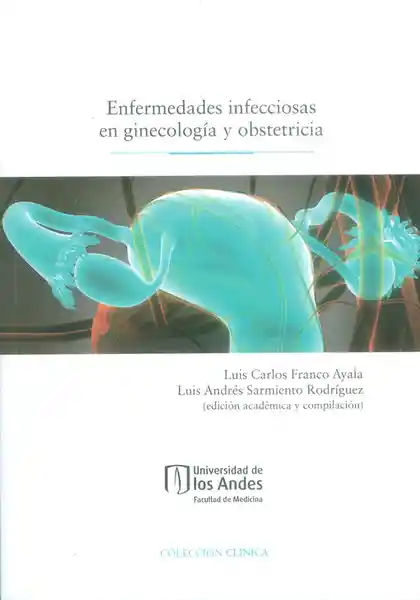 AdeS Enfermed Infecciosas En Ginecologia Y Obstetricia - Vv.Aa