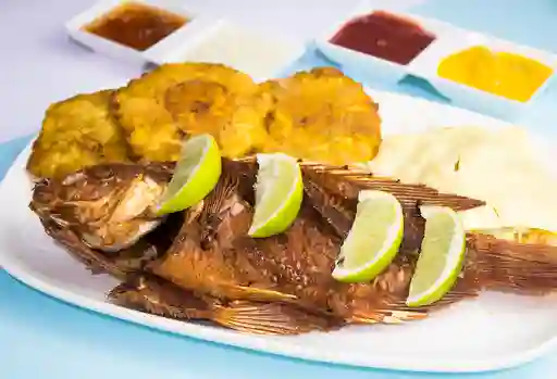 Mojarra